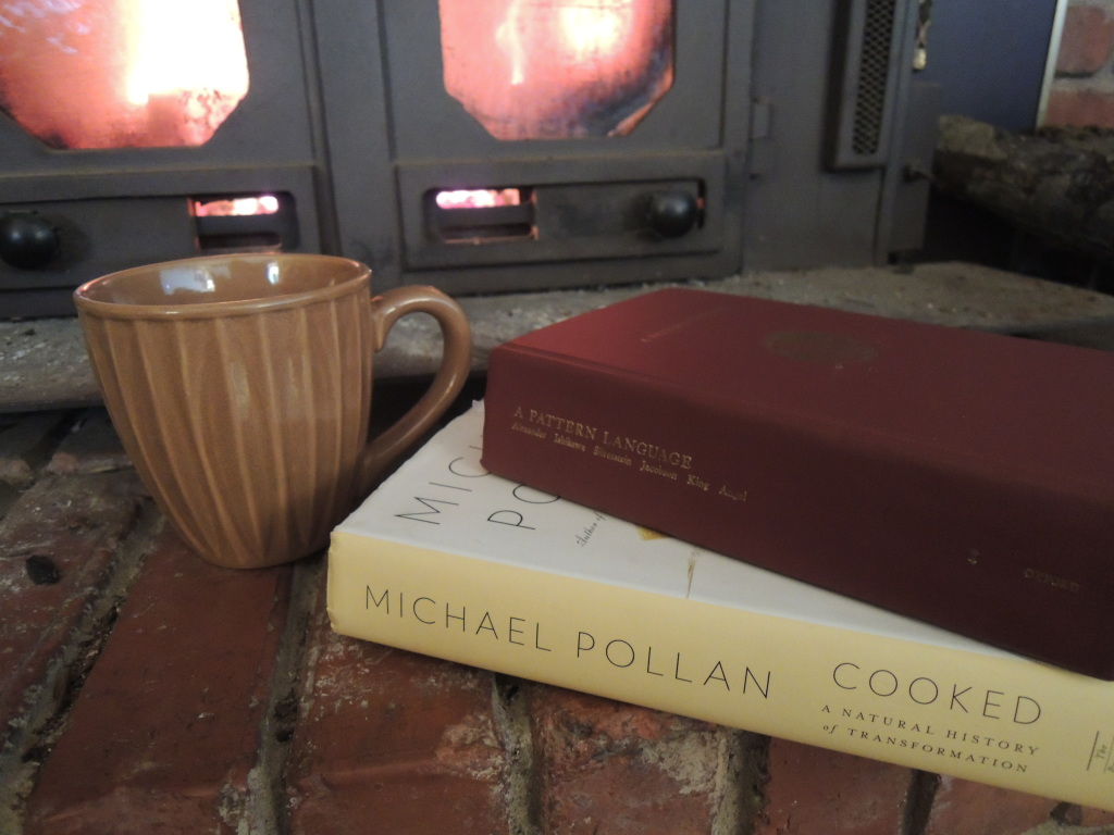 Patterns and Pollan, tea, and a fireplace...Mmmm