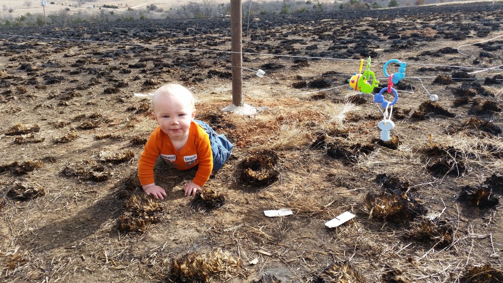 Ominous-looking pasture fire and sweet baby boy