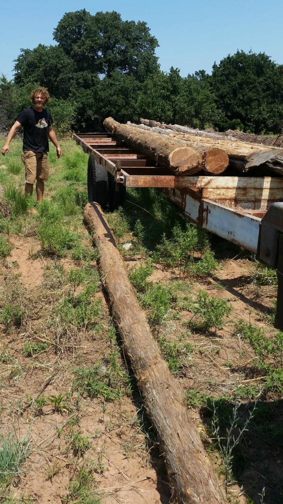 One man job hoisting logs onto trailer.