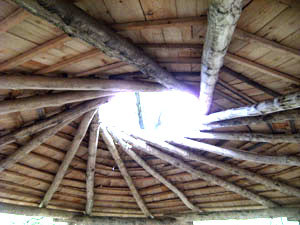 Example of a Reciprocal Roof