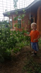 boy in front of beans on trellis