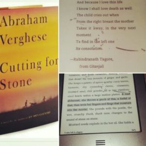 cutting for stone on kindle