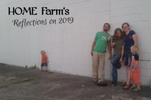 home farm reflections 2019