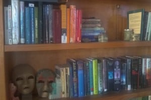 bookcase reflections on 2019 home farm