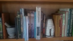 bookcase reflections on 2019 home farm earthbag build books