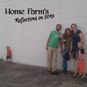 reflections on 2019, homefarm, featured image, blog