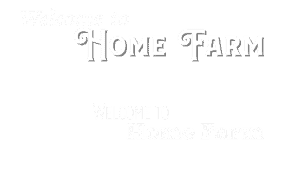 welcome font png