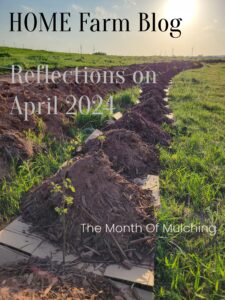 Cover photo Home Farm Blog Reflections on April 2024